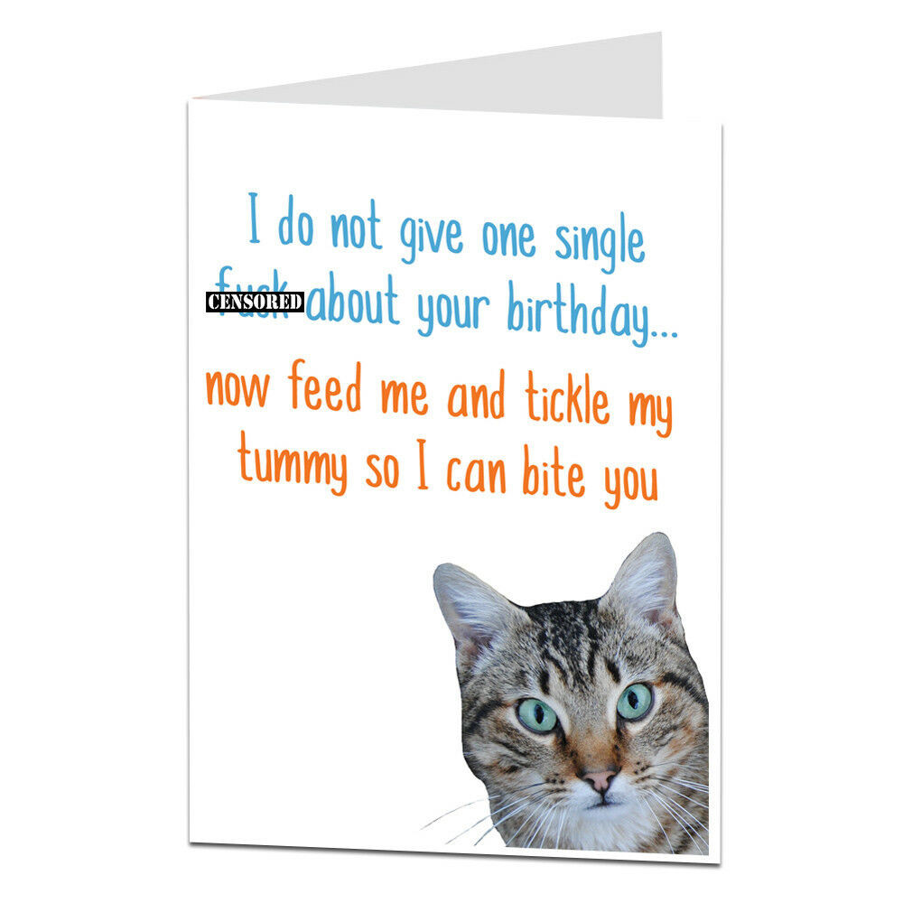 Funny Cat Birthday Card
 Funny Happy Birthday Card From Cat Theme Joke Rude Humour