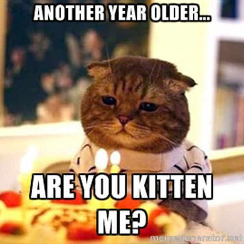 Funny Cat Birthday Meme
 Incredible Happy Birthday Memes for you Top Collections