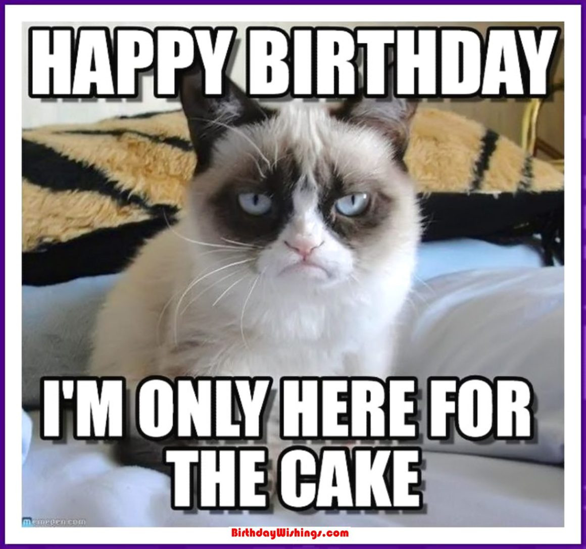 Funny Cat Birthday Meme
 Funny Happy Birthday Memes With cats Dogs & Funny Animals