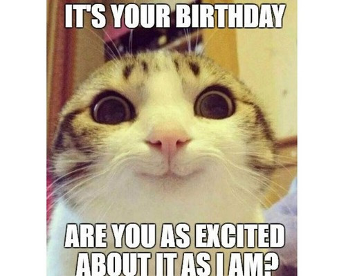 Funny Cat Birthday Meme
 45 Cat Birthday Memes