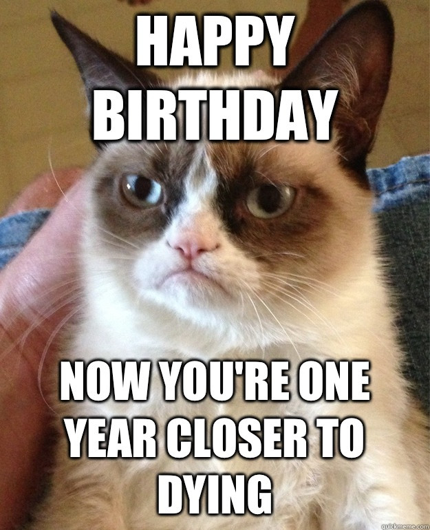 Funny Cat Birthday Meme
 30 Most Funny Grumpy Cat And Memes