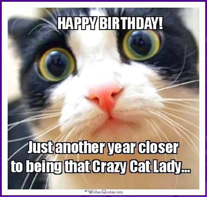 Funny Cat Birthday Meme
 Happy Birthday Memes with Funny Cats Dogs and Cute Animals