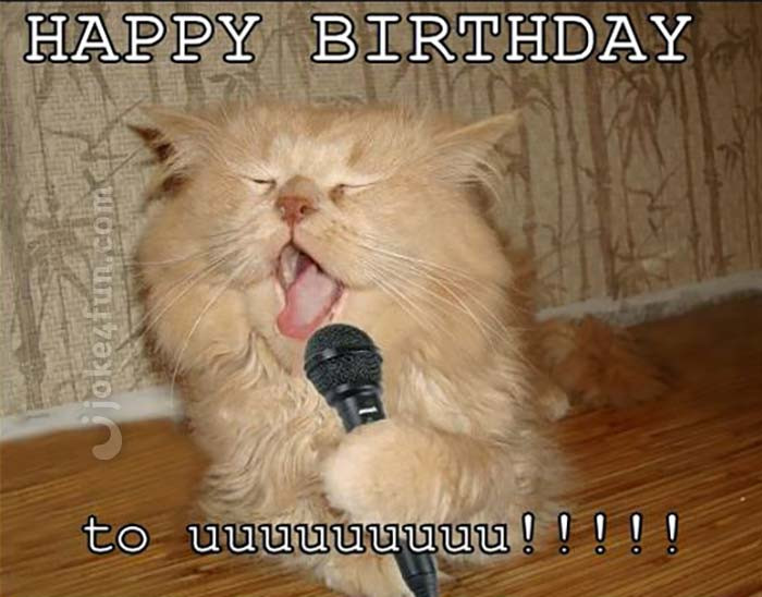 Funny Cat Birthday Meme
 20 Cat Birthday Memes That Are Way Too Adorable