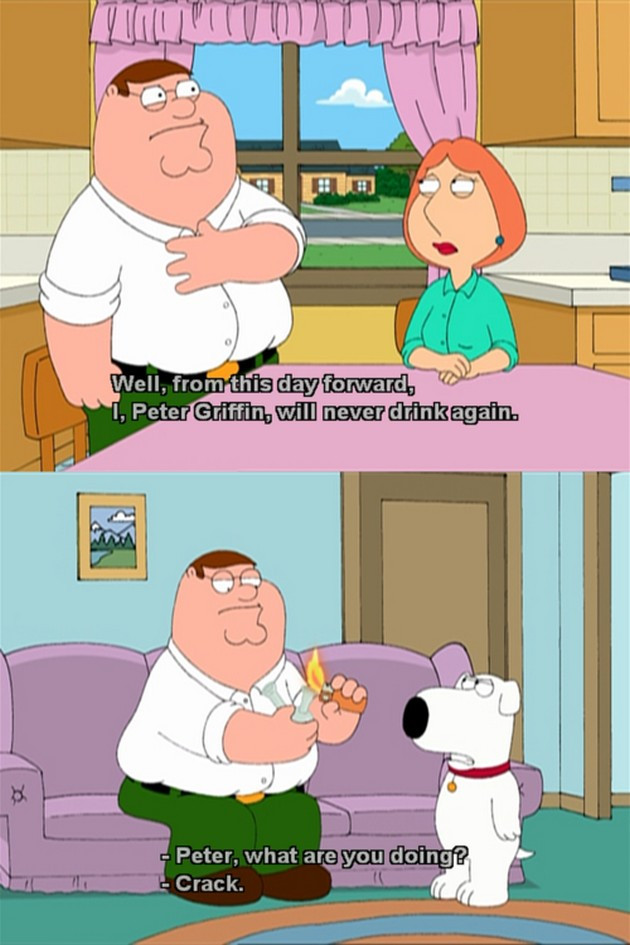 Funny Family Guy Quotes
 Top Quotes From Family Guy QuotesGram