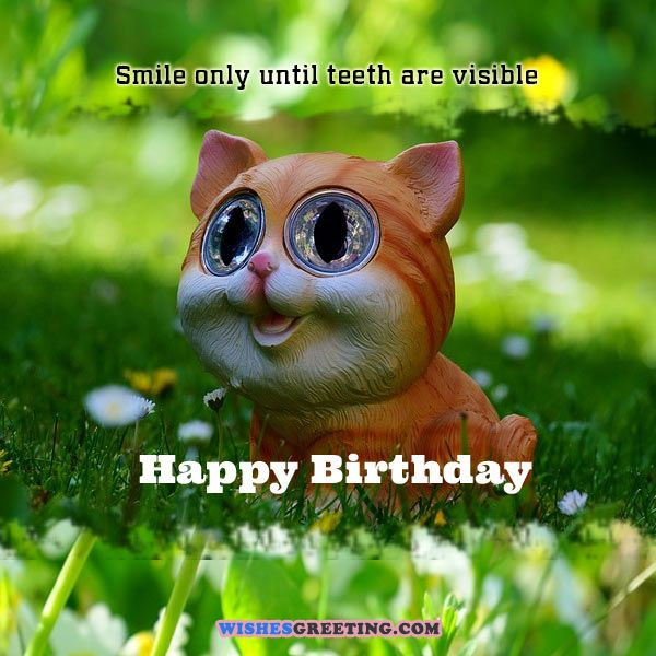 Funny Happy Birthday Greetings
 105 Funny Birthday Wishes and Messages