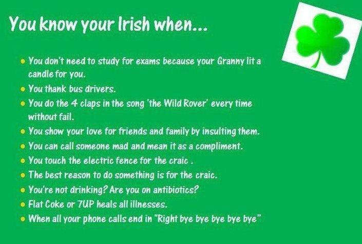 Funny Irish Birthday Wishes
 Funny Irish Birthday Quotes QuotesGram