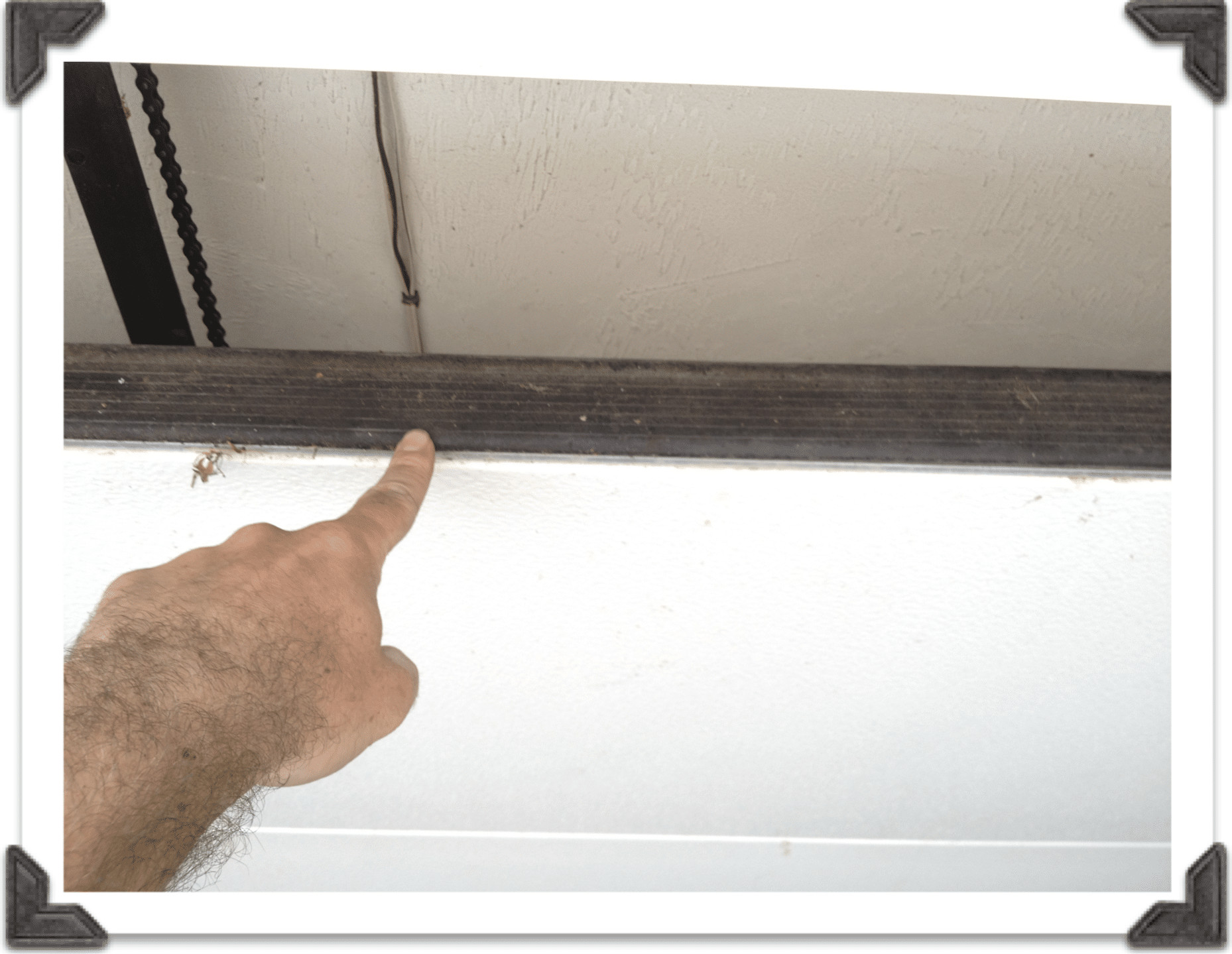 Garage Door Weather Stripping
 Quick Tip Tuesday Savvy Garage Door Maintenance