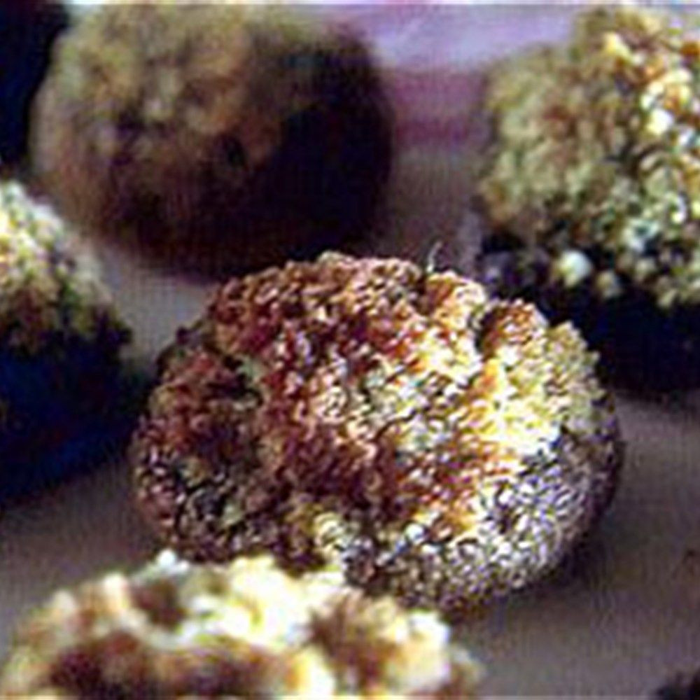 Giada Stuffed Mushroom
 Gemista Stuffed Ve ables Recipe