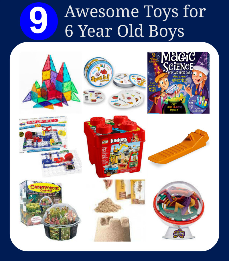 The Best Ideas for Gift Ideas for 6 Year Old Boys Home, Family, Style