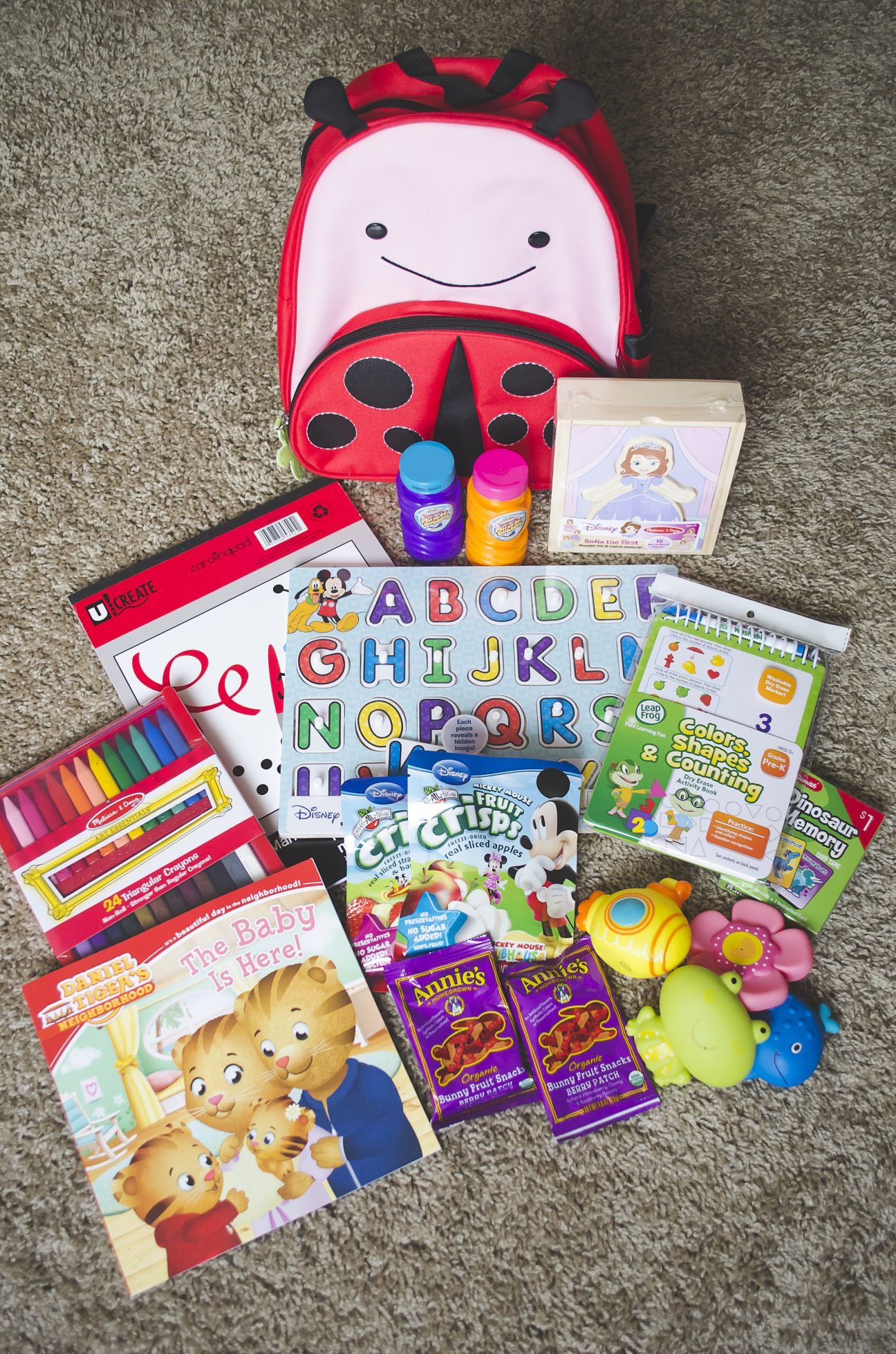 Gift Ideas For Big Sister When Baby Is Born
 Big Sister Bags