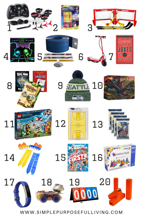 Gift Ideas For Boys Age 12
 Best Gifts for Tween Boys Ages 6 12