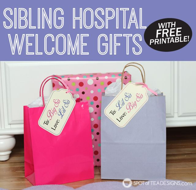 Gift Ideas For Siblings When Baby Is Born
 Big Sister and Little Sister Wel e Gifts With Free