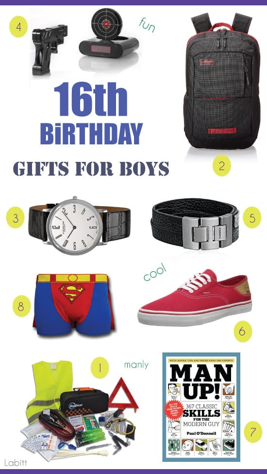 Gift Ideas For Teen Boys
 8 Gift Ideas for 16 Year Old Boys [Surprise Your Teen Boy
