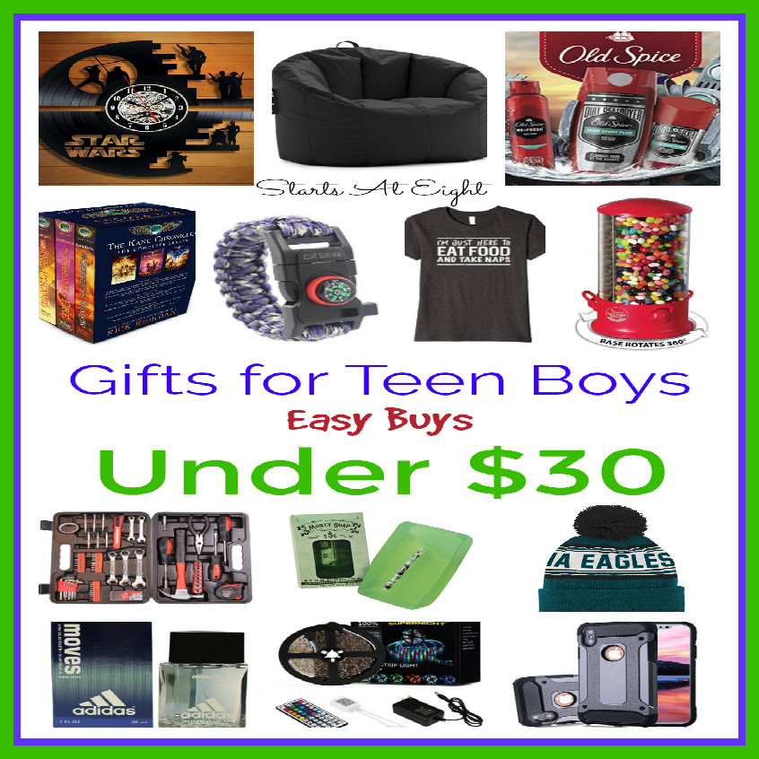 Gift Ideas For Teen Boys
 Gifts for Teen Boys Easy Buys Under $30 StartsAtEight
