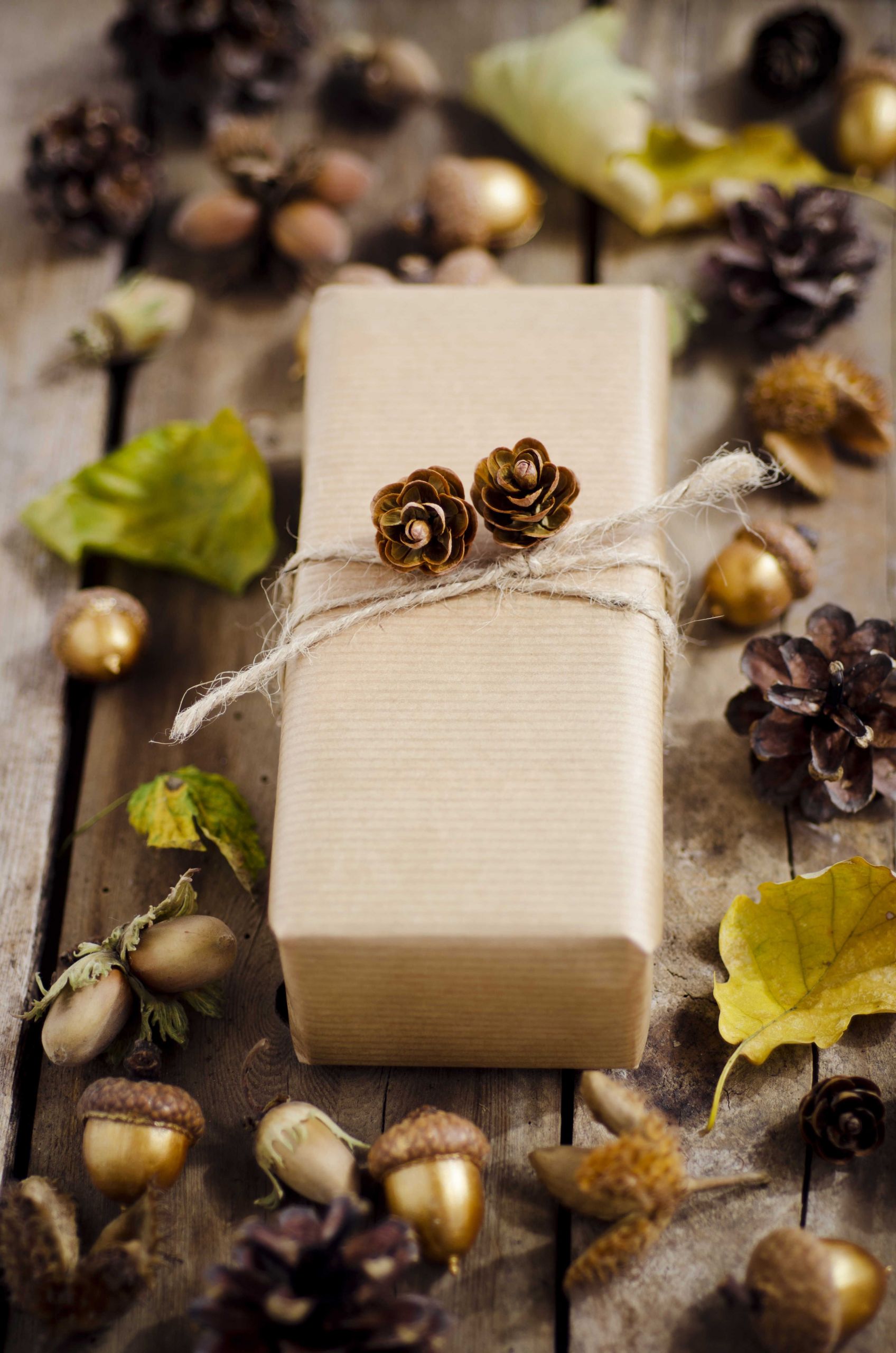 Gift Ideas For Thanksgiving Dinner
 Thoughtful Gift Ideas for Your Thanksgiving Hostess