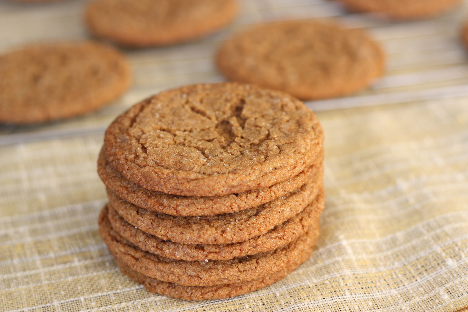 Ginger Spice Cookies
 That Winsome Girl Ginger Spice Cookies