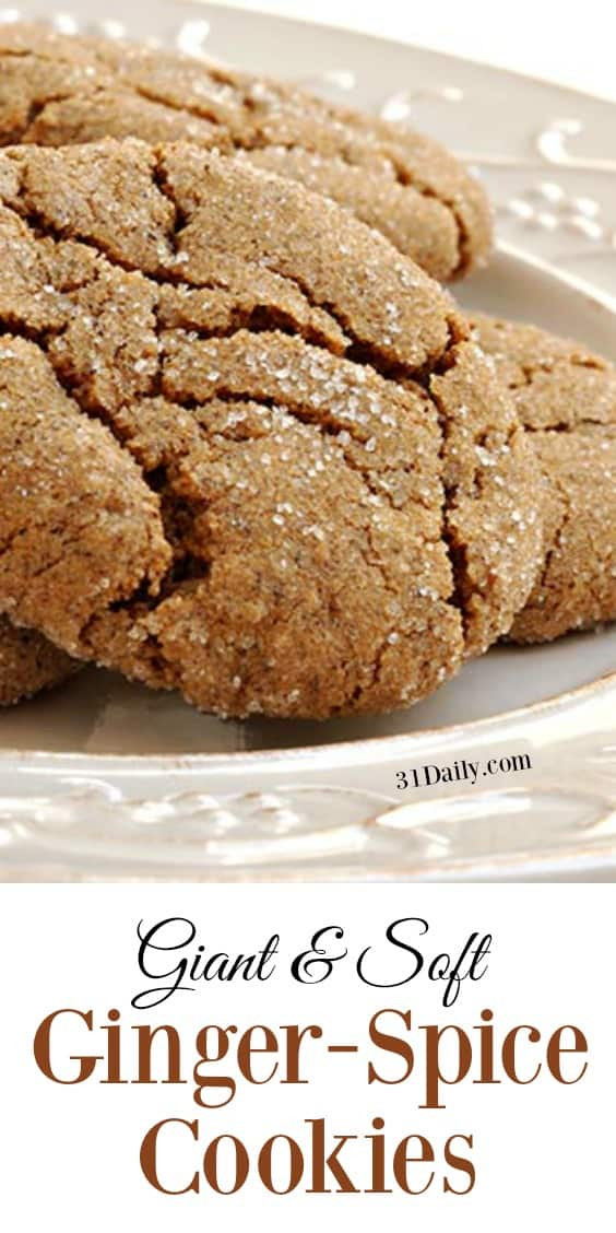 Ginger Spice Cookies
 Christmas Cookies to Bake Ahead 31 Daily