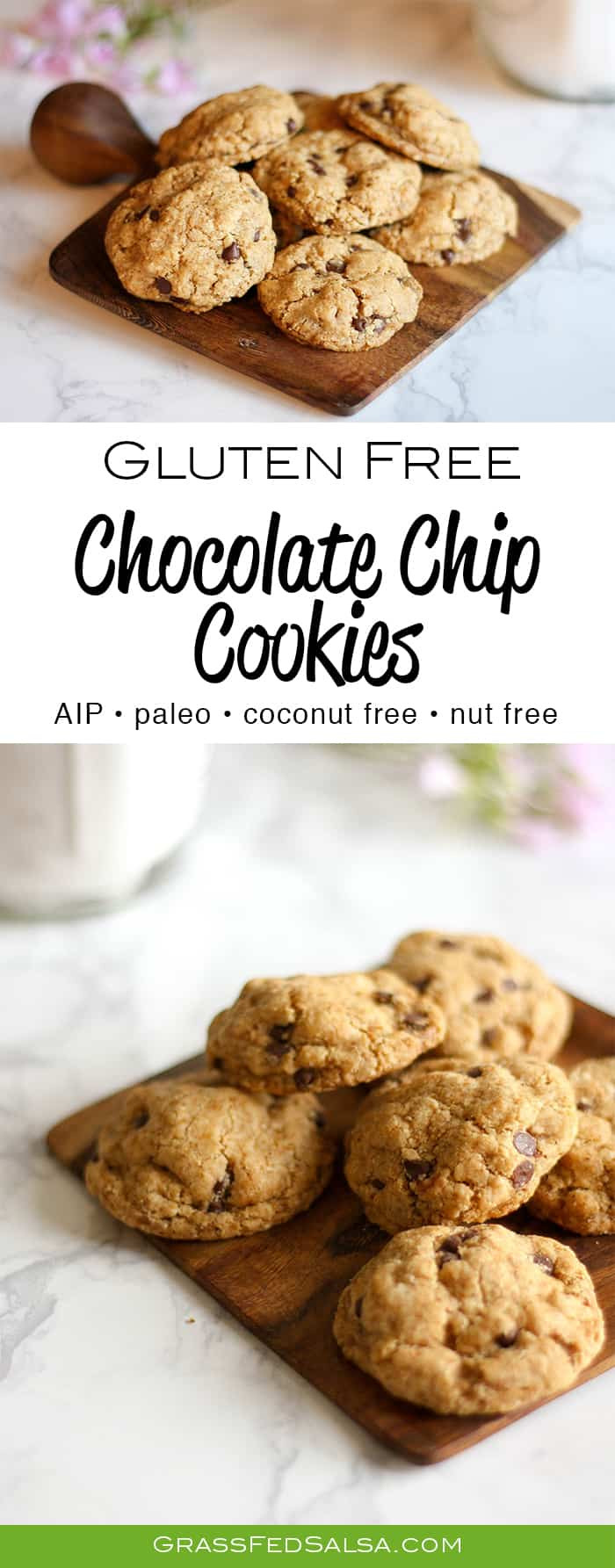 Gluten-Free Chocolate Chip Cookies
 The Best Gluten Free Chocolate Chip Cookies AIP Paleo