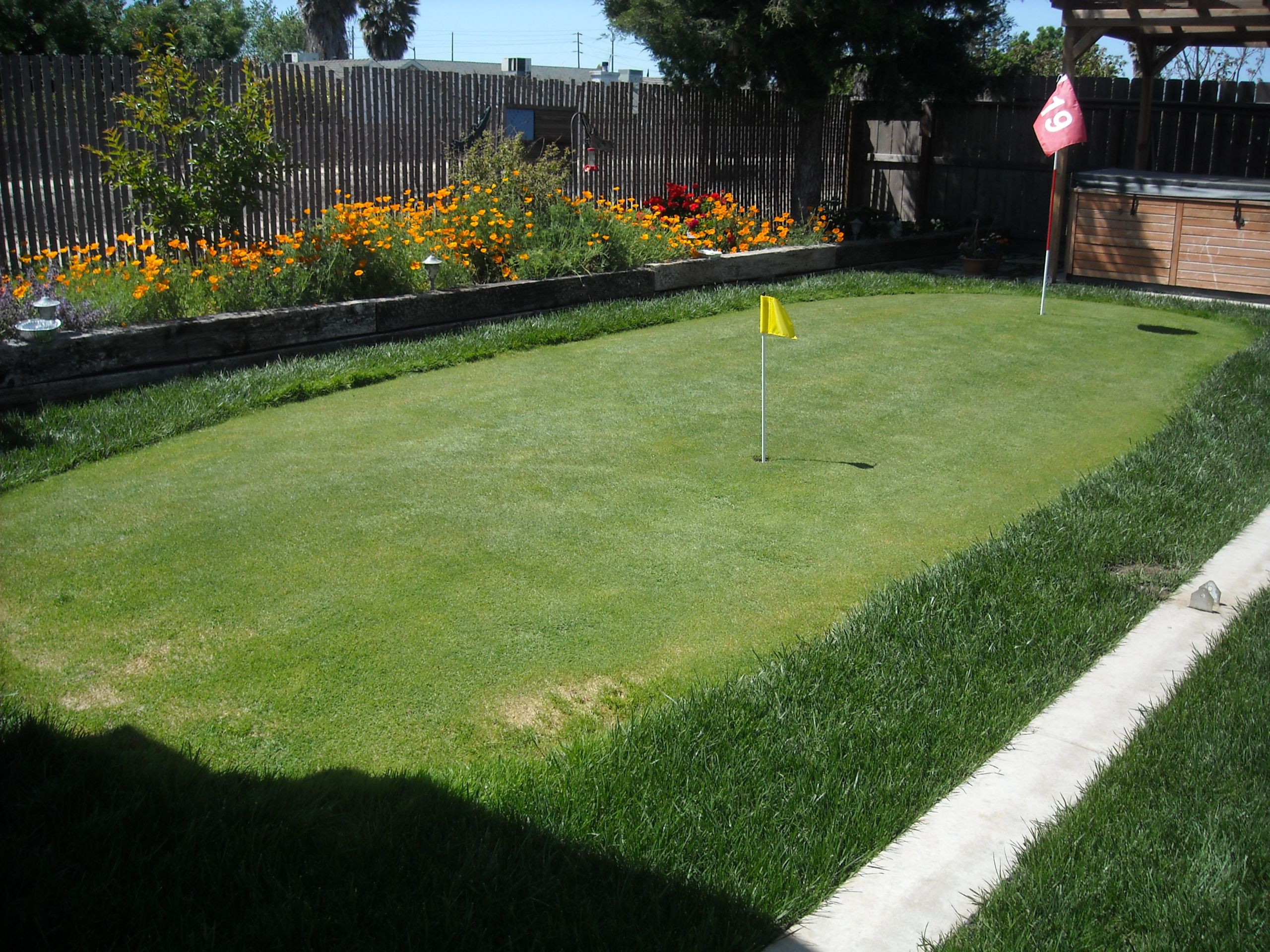 Golf Putting Greens For Backyard
 Backyard Golf Course