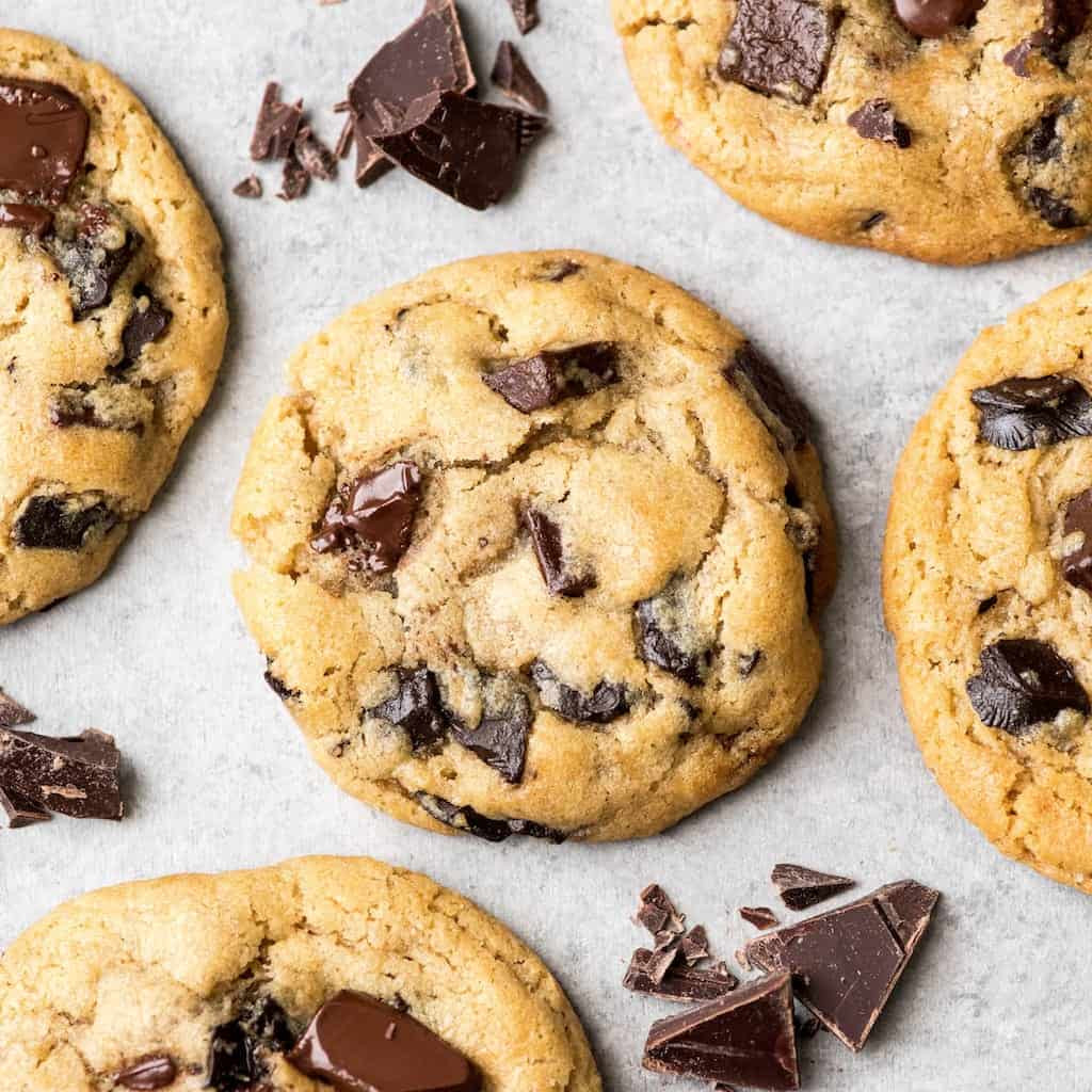 Gourmet Chocolate Chip Cookies Recipe
 The Best Chocolate Chip Cookie Recipe Ever JoyFoodSunshine