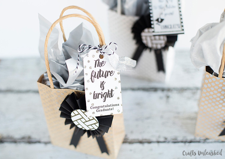 Graduation Gift Bag Ideas
 DIY Graduation Gift Bags Tutorial Consumer Crafts