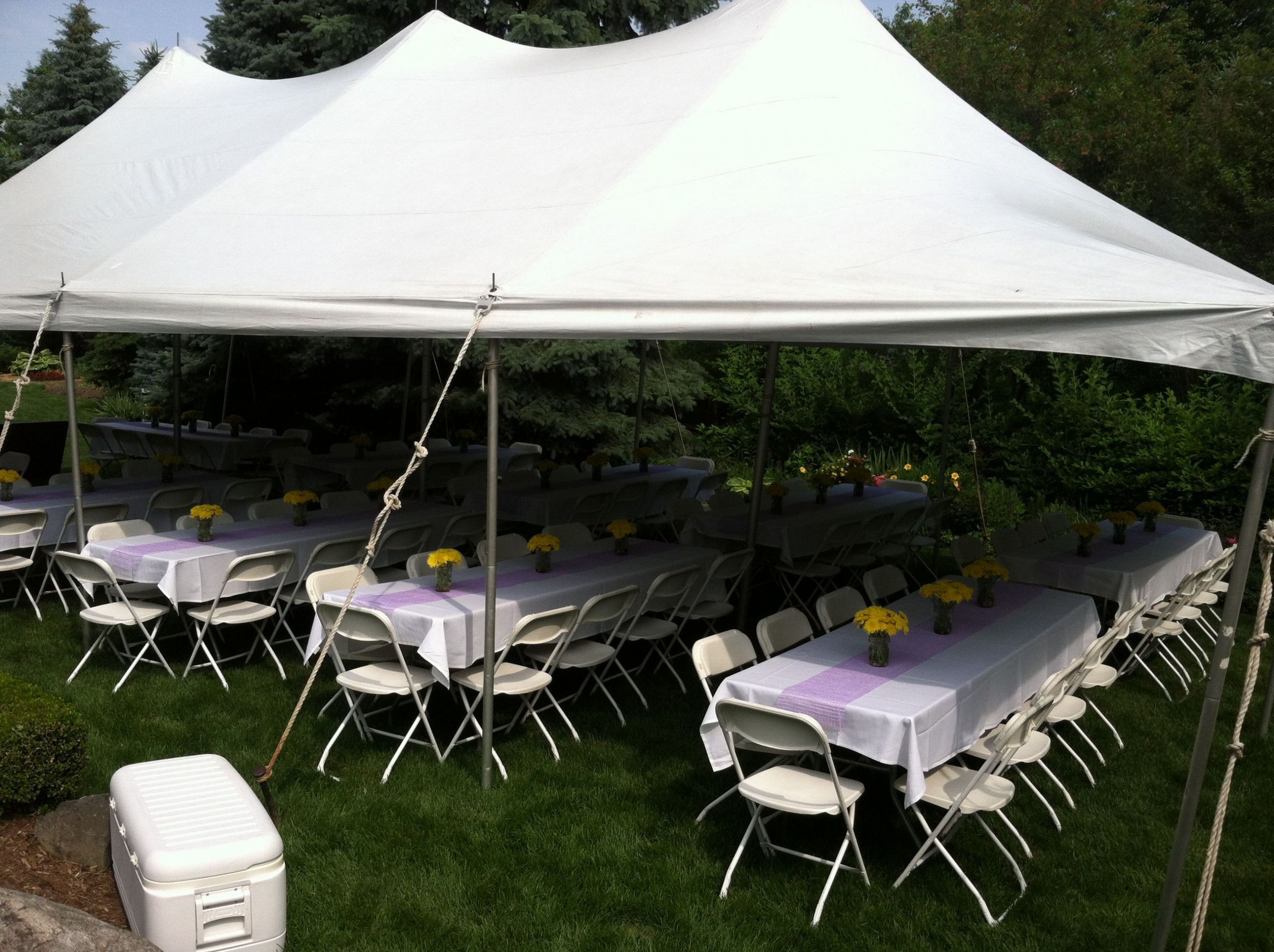 Graduation Party Ideas Backyard
 Outdoor Graduation party theme Outdoor