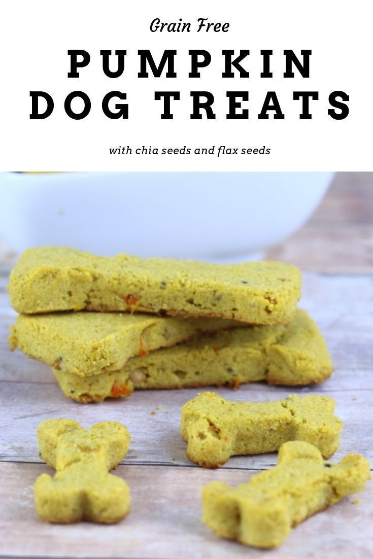 Grain Free Pumpkin Dog Treat Recipes
 Grain Free Dog Treat Recipe With Flax Seeds Pumpkin