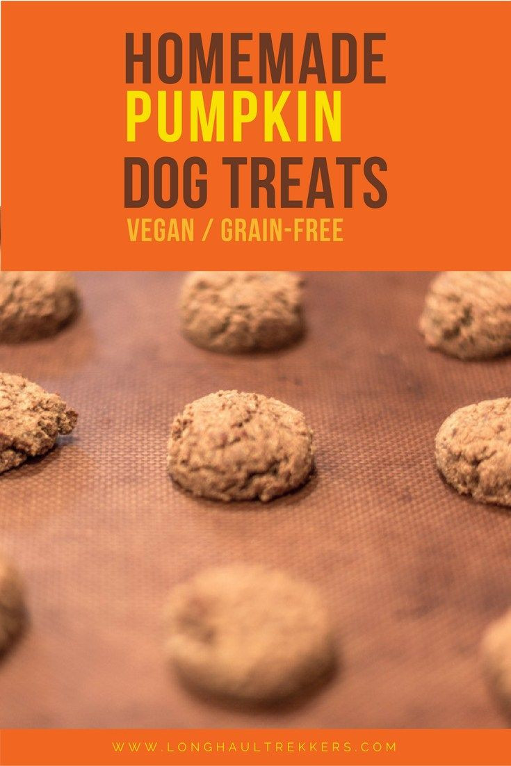 Grain Free Pumpkin Dog Treat Recipes
 Homemade Pumpkin Dog Cookies Recipe