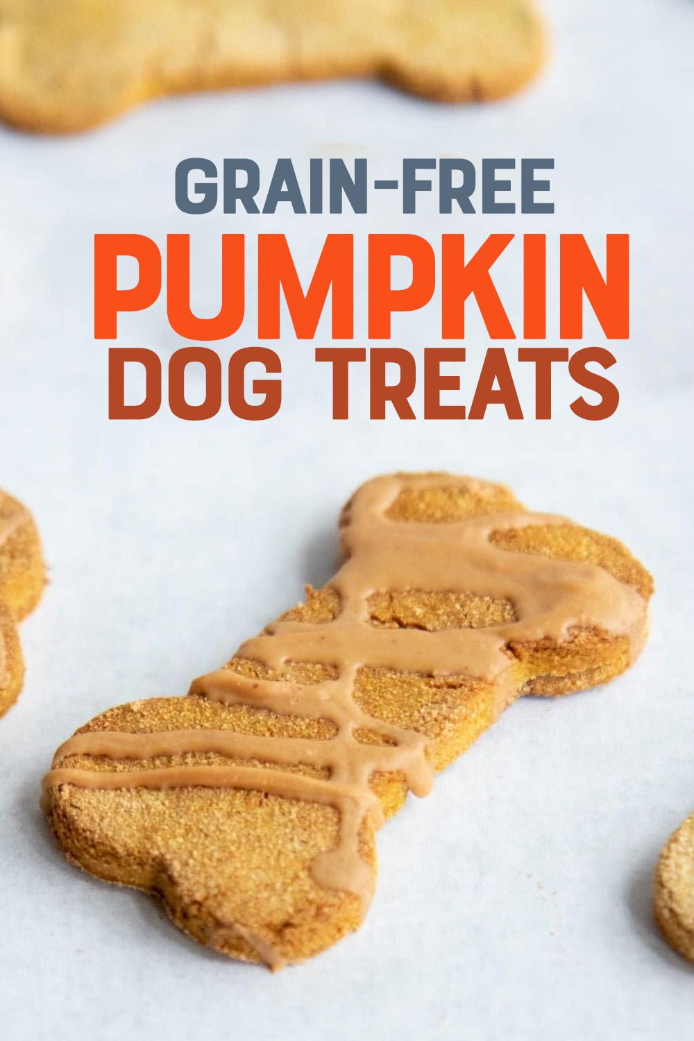 Grain Free Pumpkin Dog Treat Recipes
 Grain Free Pumpkin Coconut Dog Treats Recipe