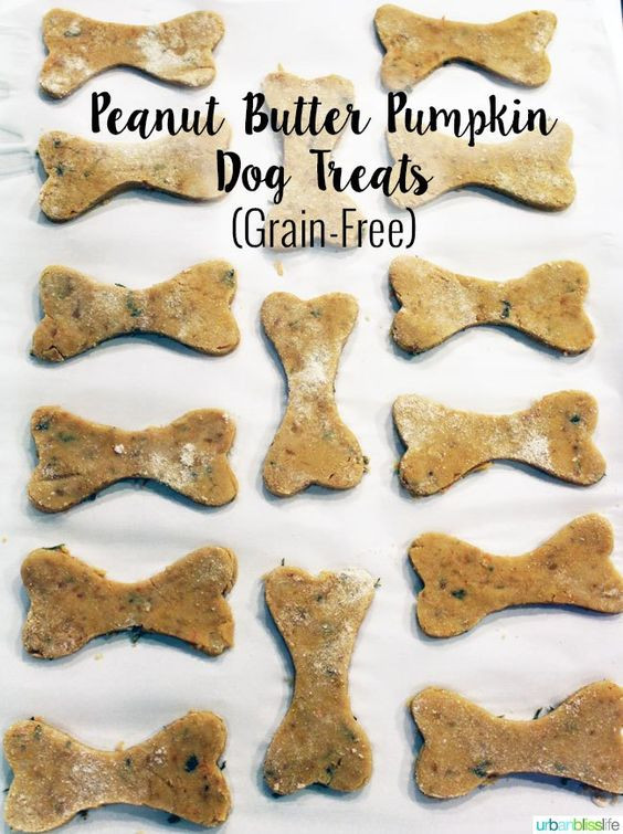 Grain Free Pumpkin Dog Treat Recipes
 Grain Free Peanut Butter Pumpkin Dog Treats