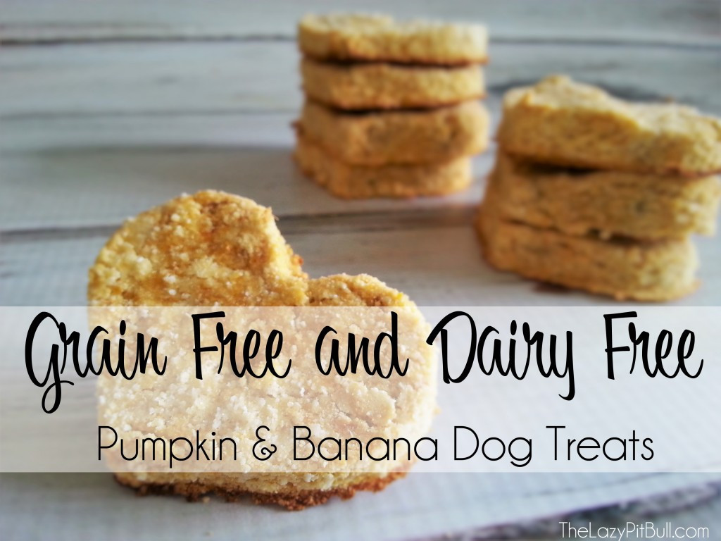 Grain Free Pumpkin Dog Treat Recipes
 The 25 Best Ideas for Grain Free Pumpkin Dog Treat Recipes