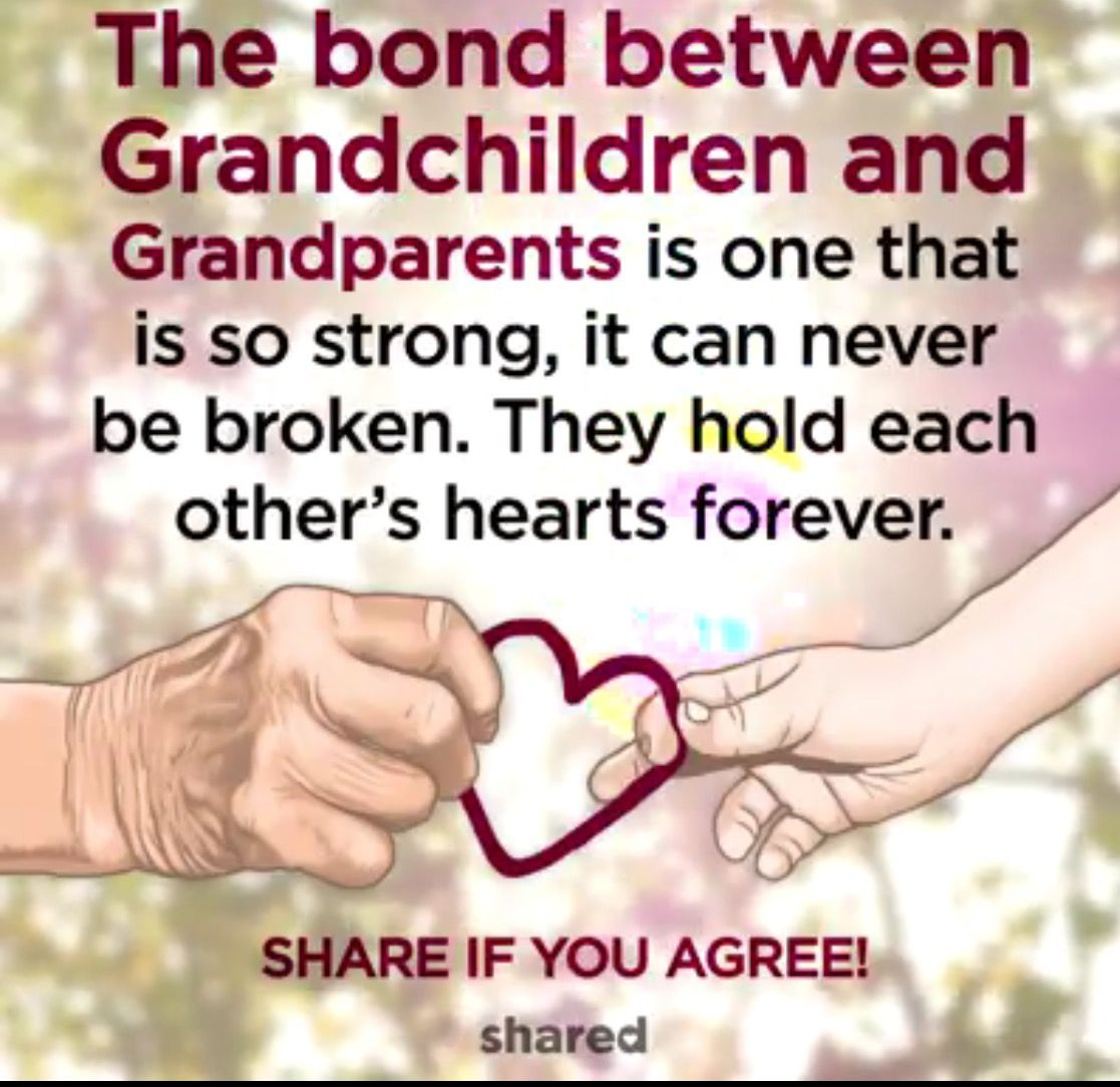 Grandmother And Granddaughter Bond Quotes
 The bond between grandparents and grandchildren