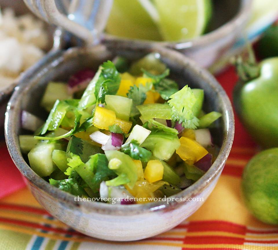 Green Tomato Salsa
 Green Tomato Chili