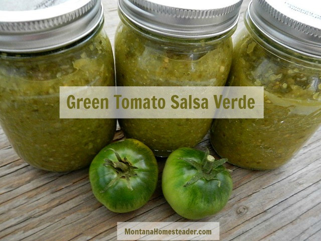 Green Tomato Salsa Verde Recipe
 Green Tomato Salsa Verde Recipe