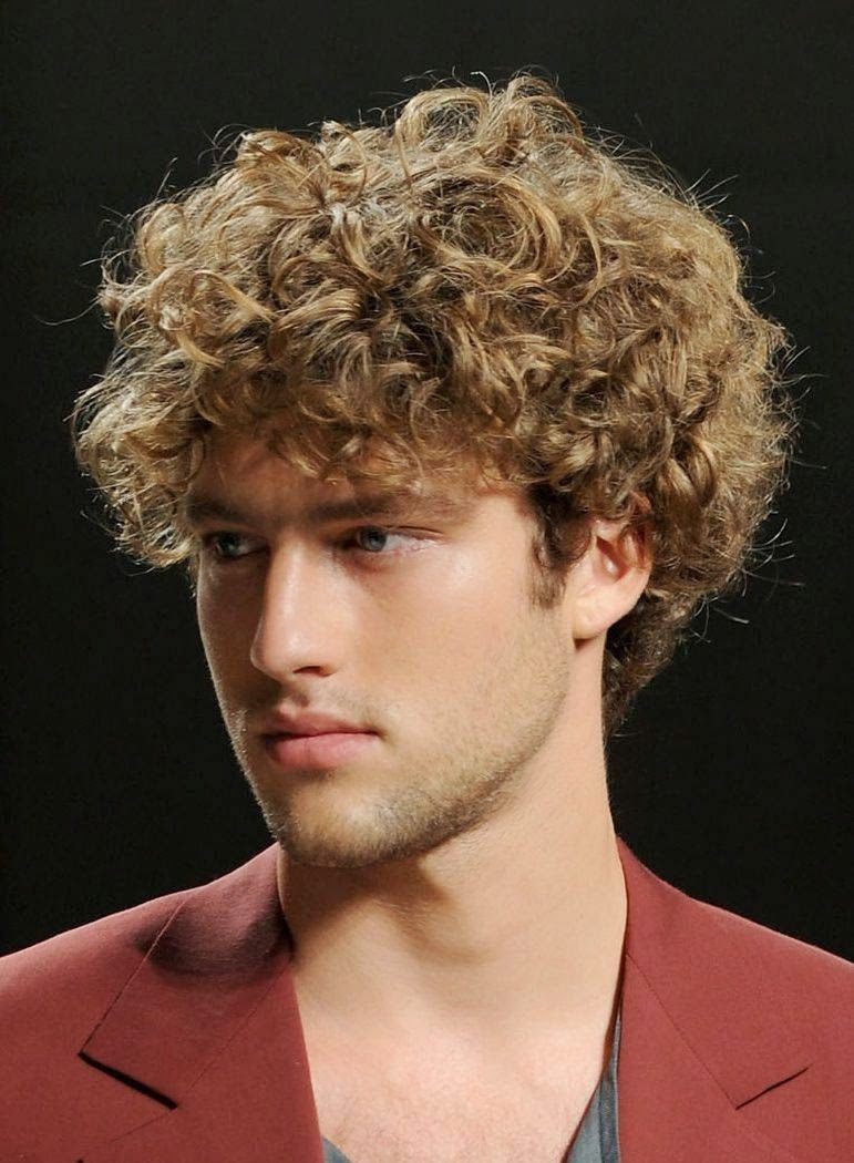 Guy Curly Hairstyles
 Hairstyle 2014 Men s Curly Hairstyles 2014