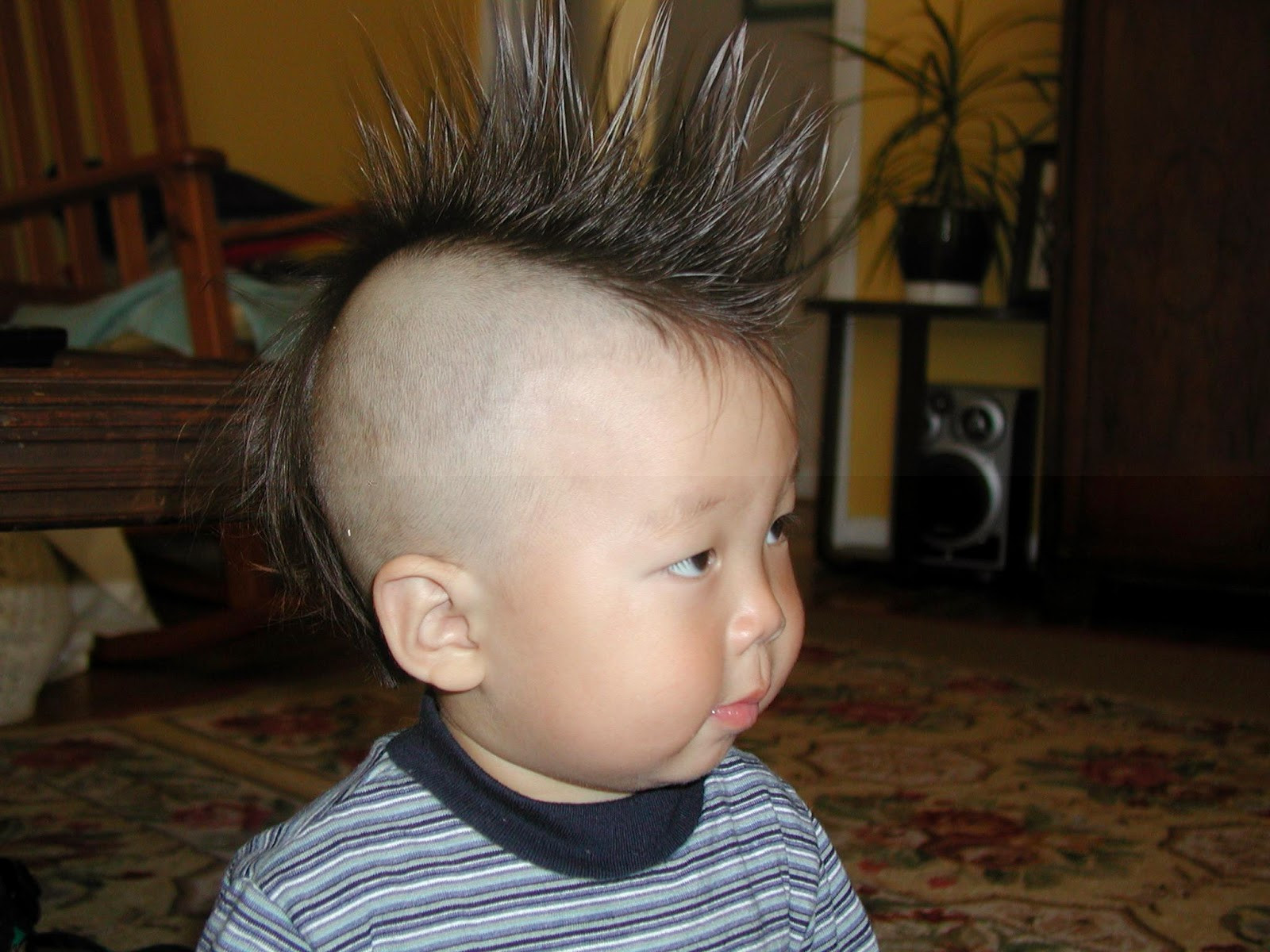 Hairstyle For Boy Kids
 Kids Hairstyle Amazing & Trendy Hairstyles for Boys