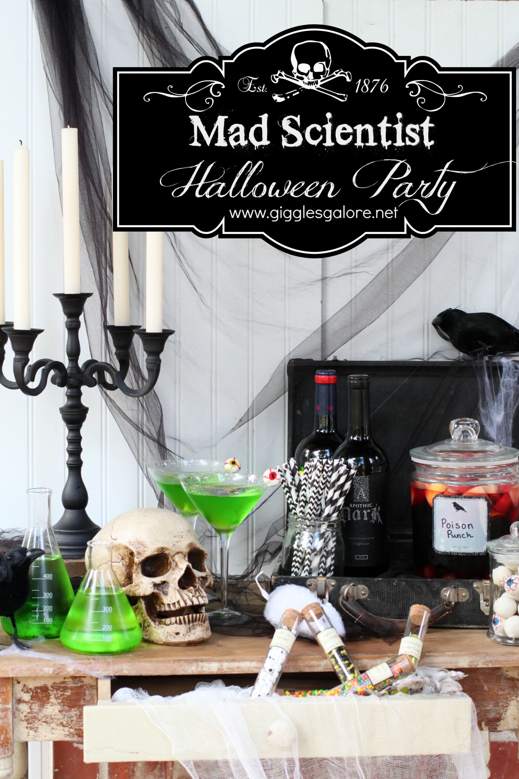 Halloween Party Decorations Ideas
 Mad Scientist Halloween Party