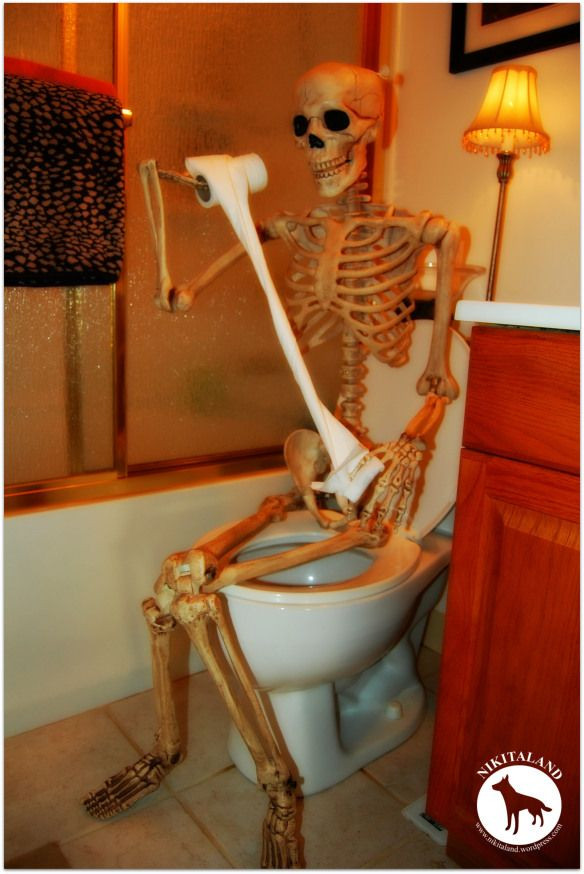 Halloween Toilet Decorations
 SKELETON ON TOILET