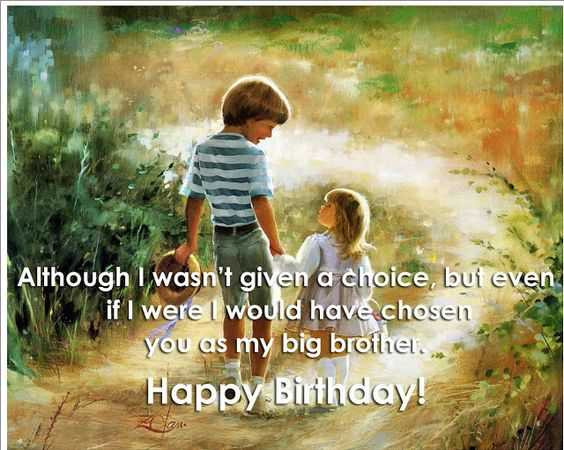 Happy Birthday Brother Quotes From Sister
 Funny Sister Birthday Quotes Wishes Sayings from Brother