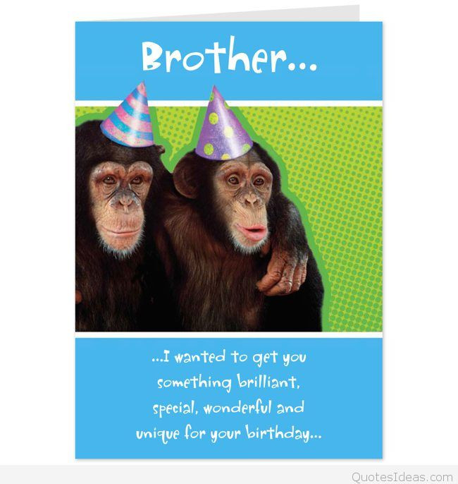 Happy Birthday Brother Quotes Funny
 Top happy Birthday brothers in law quotes sayings & cards