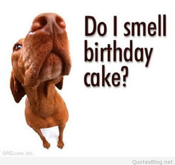 Happy Birthday Funny Quote
 Birthday Quotes QuotesBlog