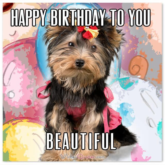 Happy Birthday Handsome Quotes
 The Funniest and most Hilarious Birthday Messages and Cards