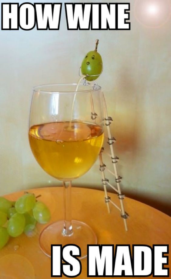 Happy Birthday Wine Quotes
 220 best images about Wine Glasses And Glasswear on