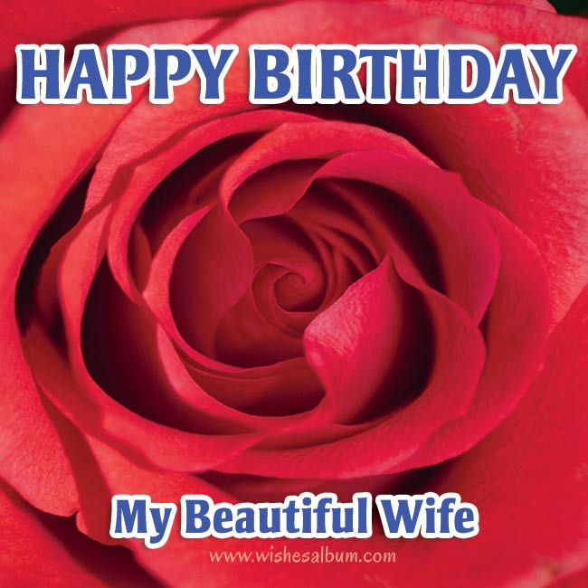 Happy Birthday Wishes To Wife
 40 Cute Birthday Wishes for Wife WishesAlbum