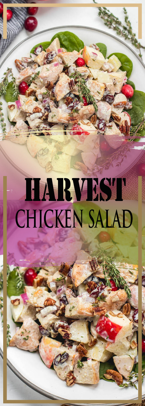 Harvest Chicken Salad Wendy'S
 HARVEST CHICKEN SALAD RECIPE