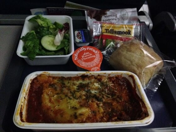 Healthy Snacks For International Flights
 Delta fort Plus Review The Travel Bite