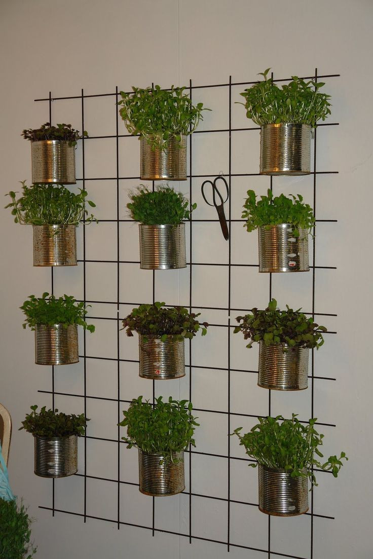 Herb Wall Kitchen
 39 best Herb Wall images on Pinterest