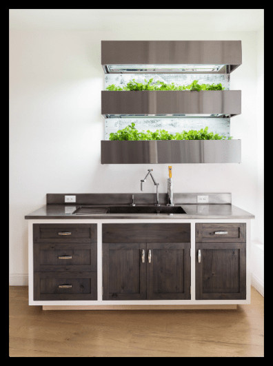 Herb Wall Kitchen
 Indoor Herb Walls Leap from Restaurants to Home Kitchens