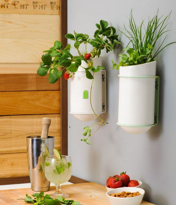 Herb Wall Kitchen
 Kitchen Herb Planter — Indoor Herb Planter — Eatwell101