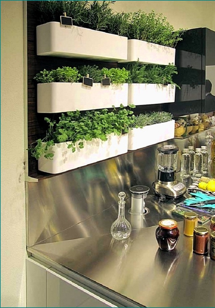 Herb Wall Kitchen
 Kitchen Herb Wall Ideas